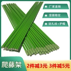 花卉造型铁丝金钱树兰花支架蔬菜瓜果爬藤植物支架拱形固定支撑杆