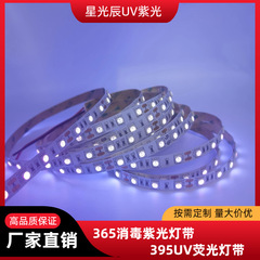 12vuv紫光5050灯帯365nm 395nm検札殺菌消菌led紫光灯条紫外線灯帯
