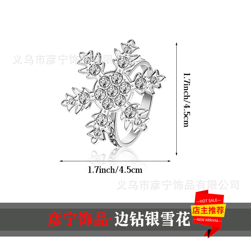 Borde de plata diamante copo de nieve