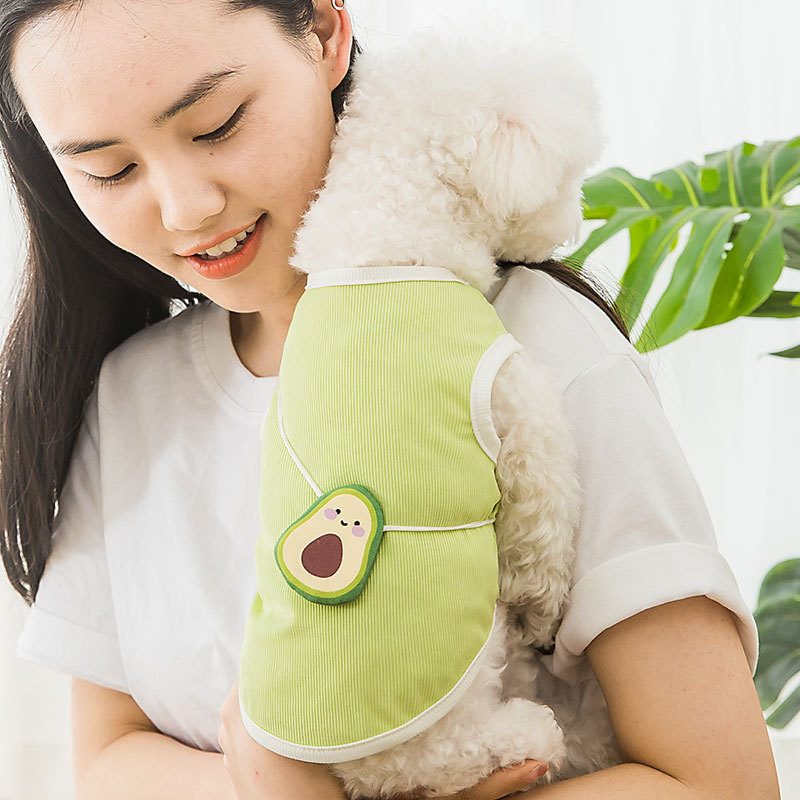 Cool hielo seda aguacate Satchel perro chaleco mascota primavera y verano fino pequeño perro primavera ropa gato mascotas ropa