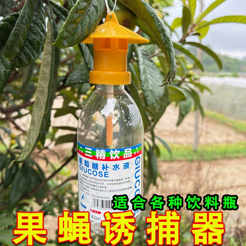 Ловушка для домашней мухи для домашней кухни, средство для борьбы с мухами, прочная клейкая ловушка для мух, круглосуточный долговечный ловец.