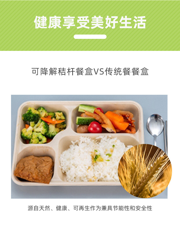 可降解纸餐盒05.jpg