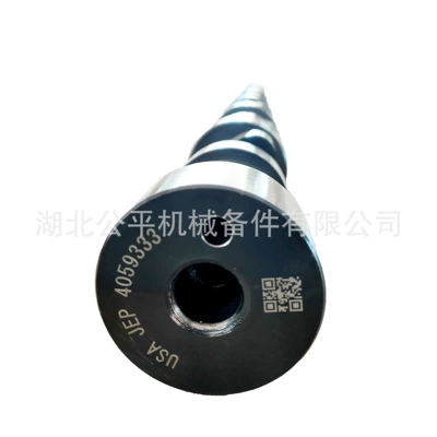 Direct Supply from the Crankshaft, camshaft