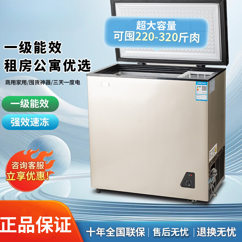 Freezer Household Small Large Capacity Double Door Freezer Refrigeration Freezer Rental House Dormitory Kitchen Refrigerator