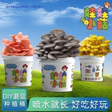 Ģ�����ԷNֲͰ�bȤζ�̨��ͯƽ���Bֳʳ�þ������Ӱ���ͥ