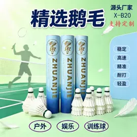 羽毛球