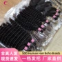 越南bulk真人发