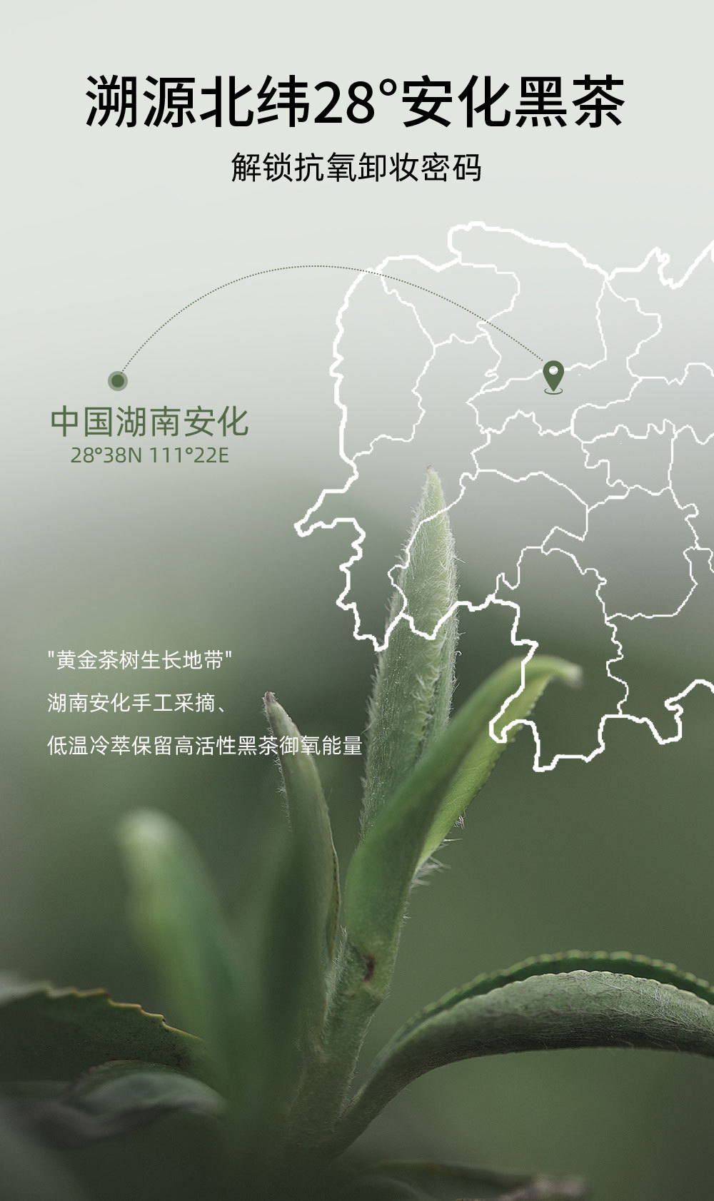 详情副本_05.jpg