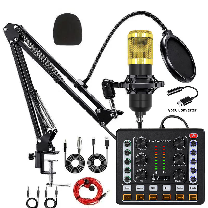 bm800 oro + M8 + conjunto de conversión typec + auriculares