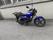 ���ڿ������� 125cc 150cc ����Ħ�г� ȼ��Ħ�г� ����Ħ�г�