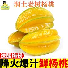 一级福建鲜杨桃水果新鲜现摘大果五角星甜一箱批发价工厂一件批发