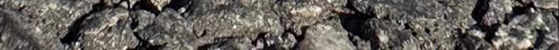 Cross-Border Car Ornaments, Interior Decoration, High-End Light Luxury Women's Car Accessories, Car Center Console Cute Supplies