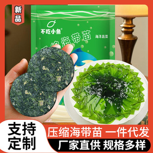 ϼ�։��s�����纣���l�A�С���b�������؛���ʳ�ķ�С��������