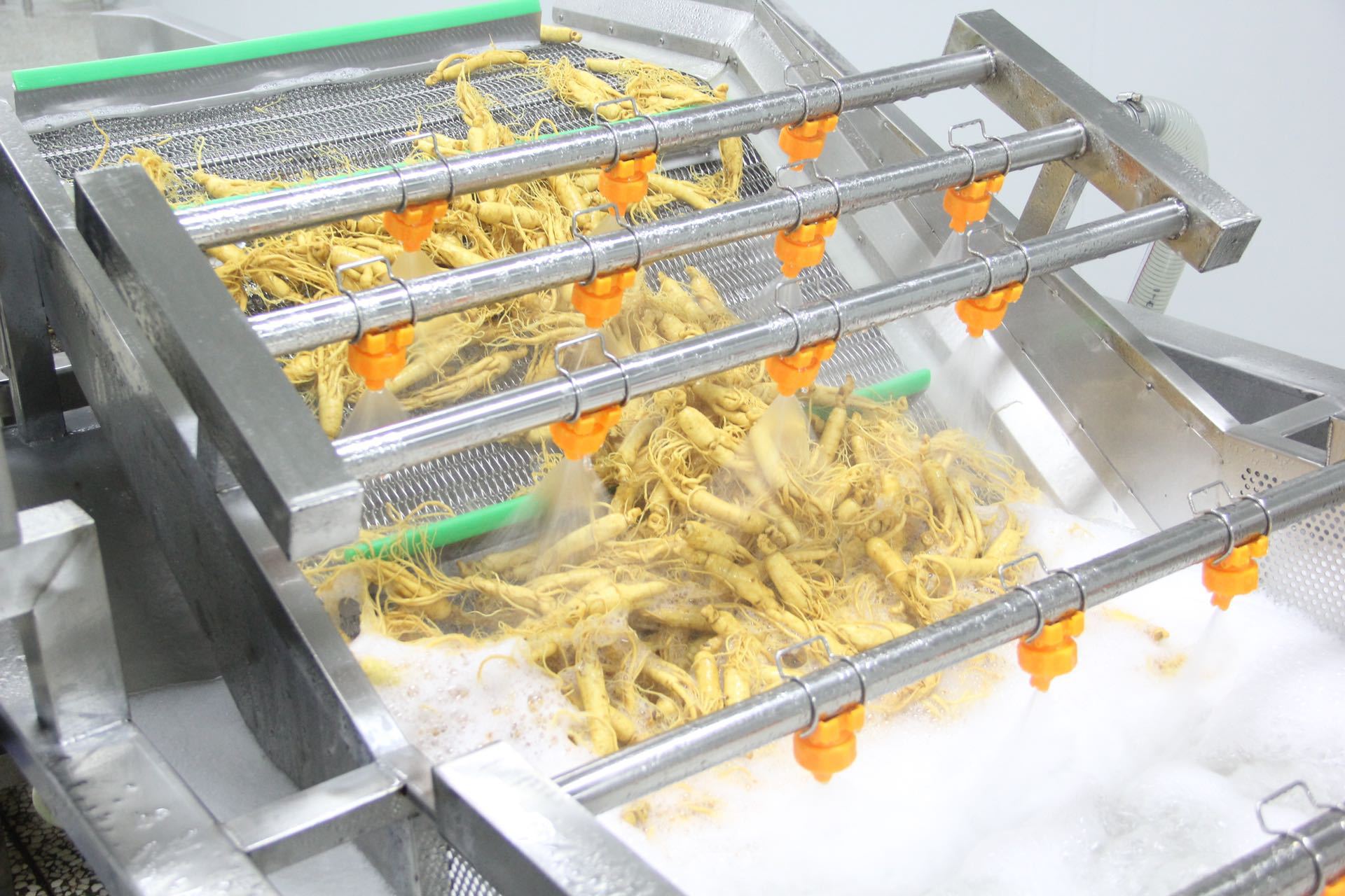 Changbai Mountain Fresh Ginseng Root Preserved for Wine and Cooking preparation