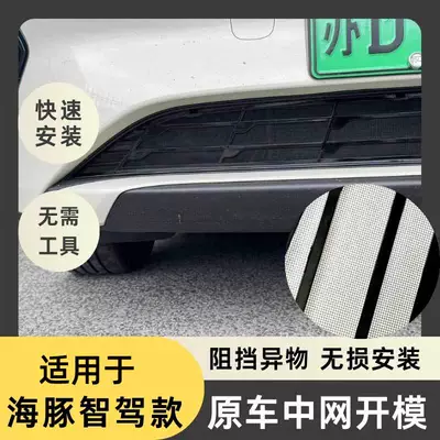 Suitable for 25 Byd Dolphin Automobile anti-insect net