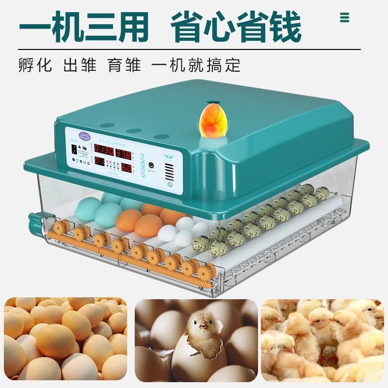 Máquina de incubadora inteligente automática para incubar pollos domésticos, incubadora para incubar pollo, pollo, pollo, pollo, pollo
