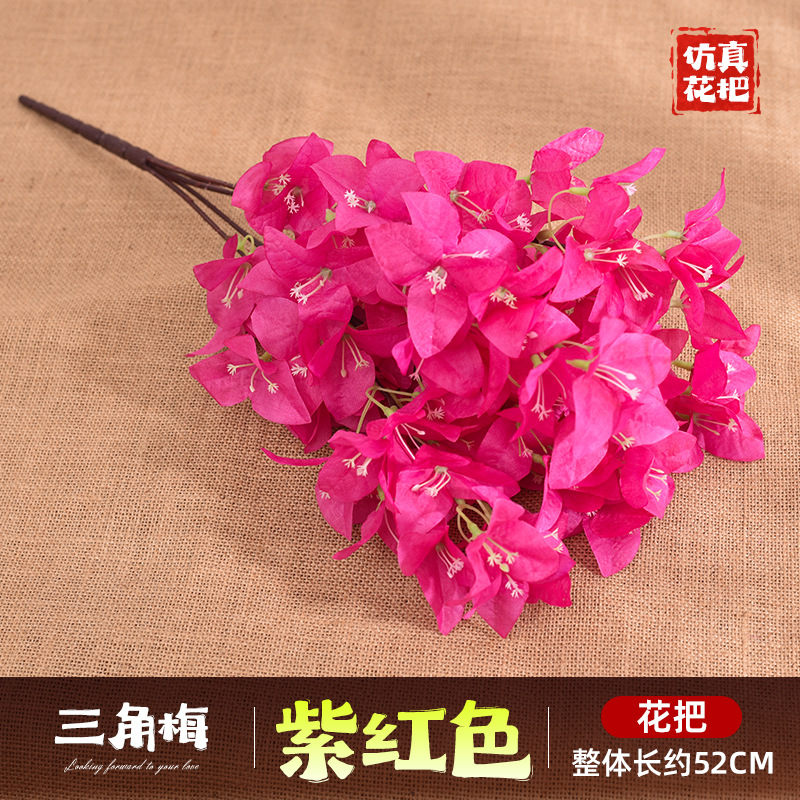 다섯 갈래 부겐빌레아 - 보라색