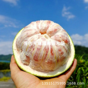 ̩���t��ʯ��Ƥ�t�������ϱ���ͥԺ�������Լ޽����Ә��箔��Y��