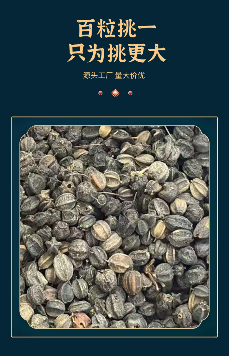 Dried Acanthopanax Senticosus Seeds Ci Wu Jia Zi 500g Raw Herbal Seed for Traditional Decoction quality and texture