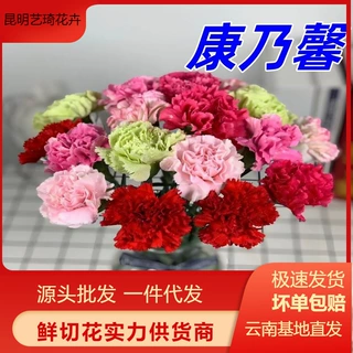 康乃馨鲜花基地直发花店家用插花团购货源花苞发货花期长一件代发