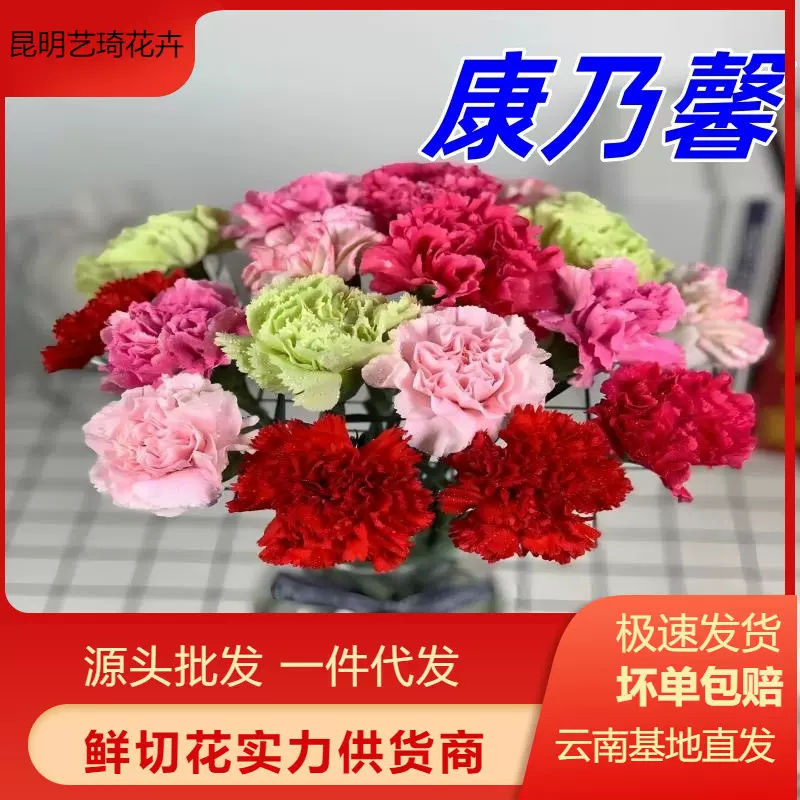 康乃馨真花鲜花云南直发花店家用女神节母亲节鲜切花批发一件代发