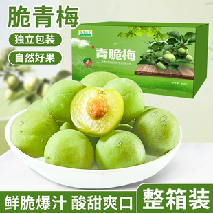 ����÷300g*1�����r��÷С��ˬ���_θС��ʳ÷�����T��÷��������