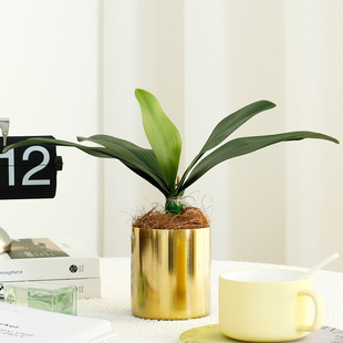 ��Ʒ�|�ָ�ܛ�z��������m�~���쾰���ԼҾ��b[�������m�~�廨