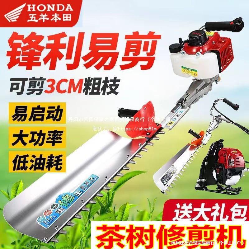 五羊本田茶树修剪机割茉莉花机横县绿篱机四冲程汽油机园林修剪机