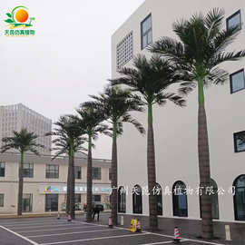 仿真大王椰子树热带大型大王椰景区造景 室内外机场酒店大树造景