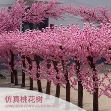 �����һ�����͙ѻ���٘��b��҃��S��̈��[�O�Ƶ��쾰�����