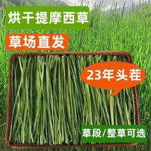 烘干提摩西提干牧兔子粮食北提荷兰猪料龙猫干一件代发