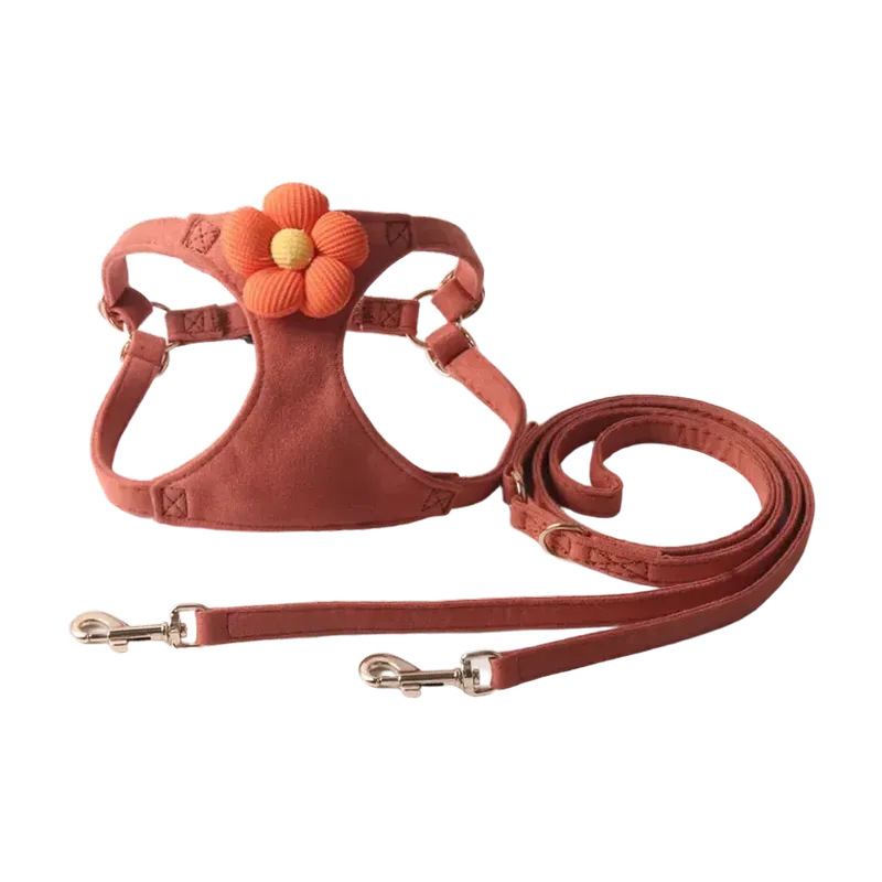 Aminger New Silk Velvet Candy Color Flower Leash Set Pet Harness Cat_voghion.com