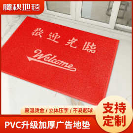 丝圈地垫耐磨防滑宝丽美片材家用入户门脚垫 PVC广告酒店地毯防水