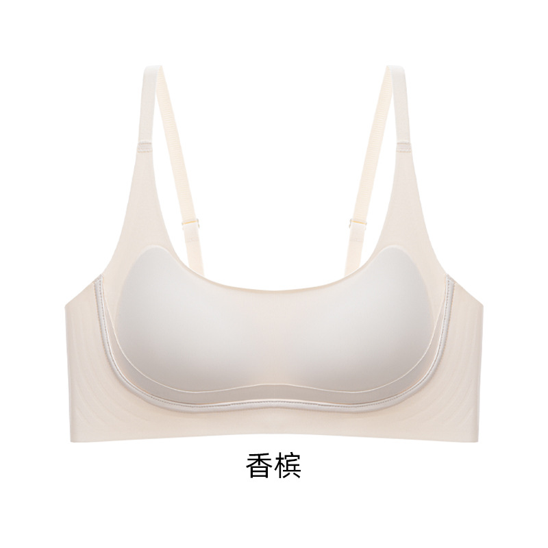 샴페인