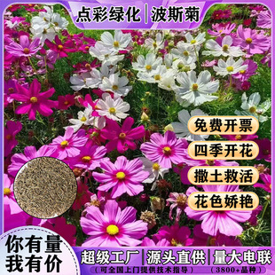 ��˹�ջ��N�Ӹ�ɣ���N�����߲��ļ��_���׻�ͥԺ�����l��Ұ���N��