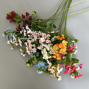 ��֦����ָ ��c���滨���Ʋ廨�ҾӾƵ��b����Ĕz��Y�õ���