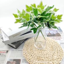 Gֲع~zƬ~7^ֲ̈ֲb~