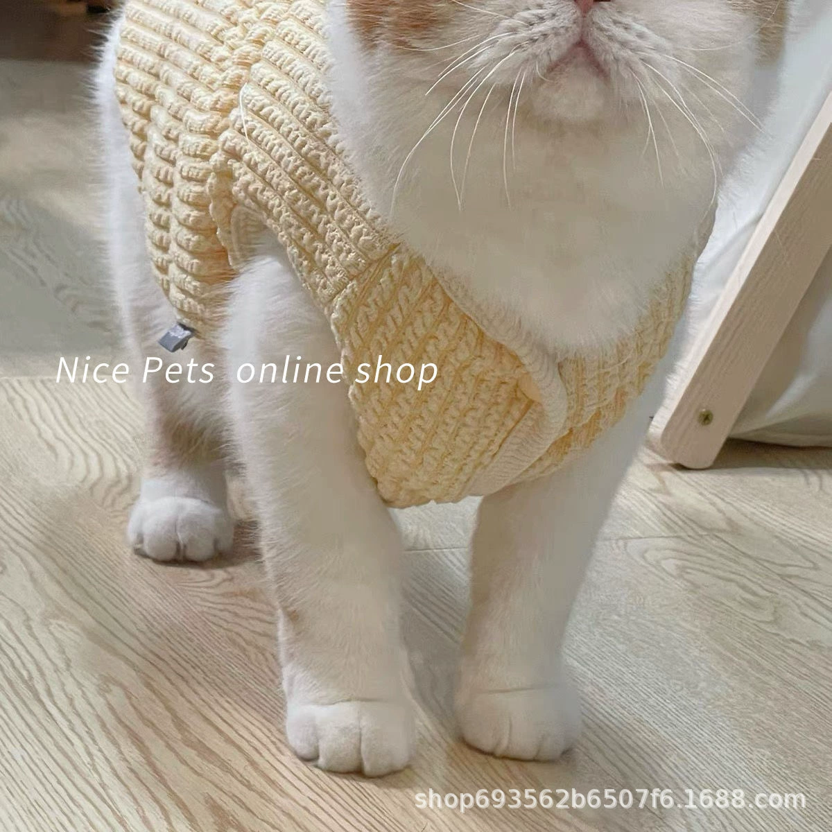 Симпатичные шерстяные жилеты для домашних животных весной и осенью тонкая кошачья одежда кукла синяя кошка собака бархат теплая жилет