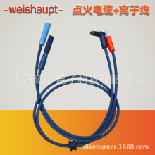 �c����|+�x�Ӿ� | WGϵ�� weishaupt/���� ȼ�������� ��ԭ�b