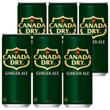 日本进口canda dry可乐姜汁味汽水碳酸饮料250ml罐装（箱规30）