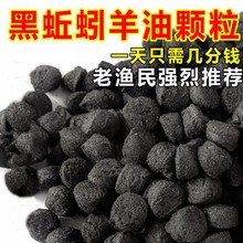 鱼虾专用黑蚯蚓羊油黑颗粒龙虾河虾黄鳝浓腥诱饵泥鳅黄鳝鱼饵料