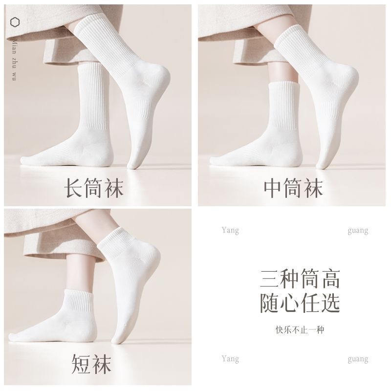 靴下の男性の夏の綿の純色の中筒の靴下は汗の通気性の防臭の女性の秋冬のストッキングの街頭のスポーツの靴下を吸います。|undefined