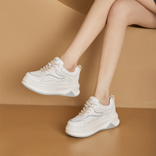 ƤСЬŮ2025＾¿ɸЬins\epЬŮ