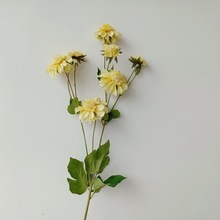 �{ɫʸ܇�ռٻ� ��@�L����滨����z�����r�� ��Y�zӰ�[���b�