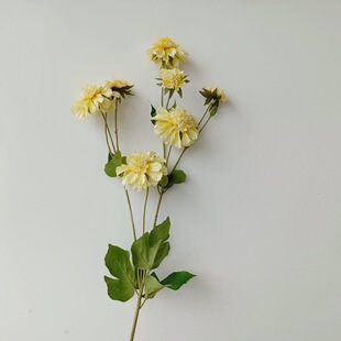 �{ɫʸ܇�ռٻ� ��@�L����滨����z�����r�� ��Y�zӰ�[���b�