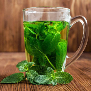 ���ɷN��؈���ɷN��ݮ�N�ӿ�ʳ�û��N�����҃������ļ��N�׻��_��