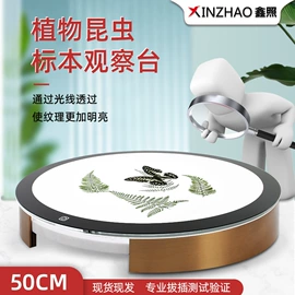 画夹画板;阅读台灯;生物教学器材
