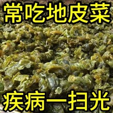 地皮菜甘肃野菜干货地软地达菜地衣雷公菌地耳新货地皮菜青菜小炒