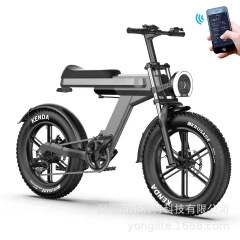 20インチ肥胎雪地電動自転車アルミニウム合金リチウム電池電気自動車クロスボーダー輸出ワイドタイヤオフロード車