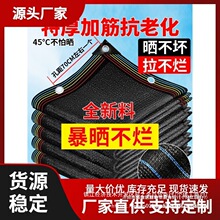 ��ꖾW�Ӻ���ܷ���W��ꖸ��������ͥԺ�ڹ�ھW̫ꖾW��ꎾW